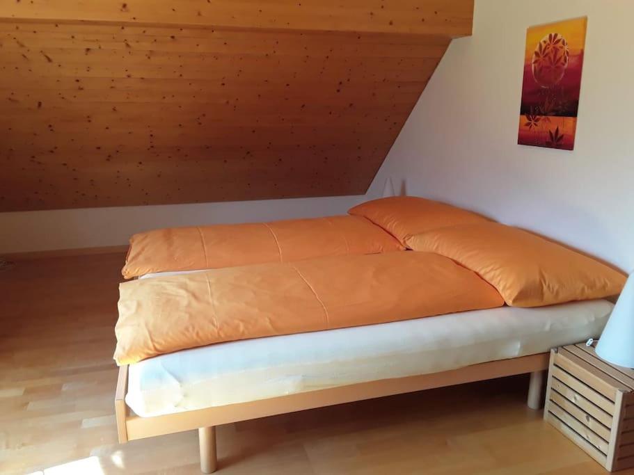 Zwinglis Ferienwohnung Rosi Nesslau Exterior foto